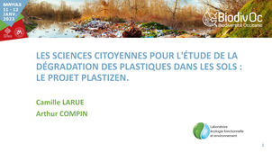 Camille LARUE & Arthur COMPIN - Dégradation plastiques dans les sols