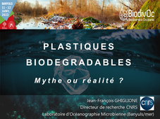 Jean-François GHIGLIONE - Plastiques biodégradables ?
