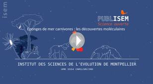 PUBLISEM 1 - Eponges carnivores : les découvertes moléculaires
