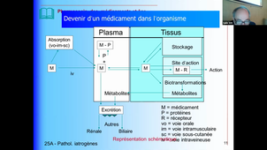 DFASM2 MIF 12/02/2021	16:00	18:00	Thérapeutiques antalgiques, médicamenteuses et non médicamenteuses; spécificités thérapeutiques de la personne âgée	JEANDEL C.	Salle 309		MIF