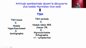 BEST OF ENDOCRINOLOGIE  - DFASM1 - Pr.Raingeard