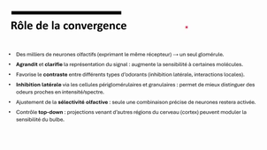 DFGSM2 - Pr.Huby - Neurophysiologie de l’audition, de la gustation, de l’olfaction - 17/02/2025