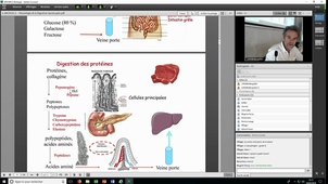 DU_PEC_Obesite_28022019_MATECKI_Physiologie de la digestion