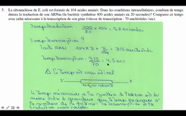 operon lactose et protéines recombinantes -HLBI530