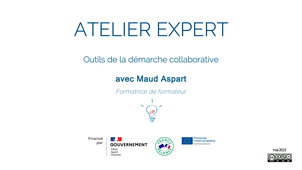 Atelier expert - Outils de la démarche collaborative