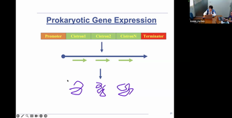 TU13 - BIOINFORMATICS & OMICS - Synthèse réunion - RAMA PATHO- 23-02-2026.mp4