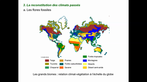 Hiven-CM8 Cenozoique 2021