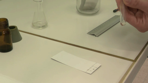 Chromatographie sur Couche Mince