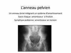 Equilibre Sagittal