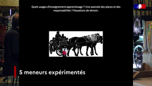 Teaser HARAS
