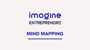 Mind Mapping / Imagine Entreprendre !
