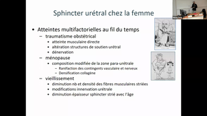 Le vieillissement génital et conséquences fonctionnelles chez la Femme - Dr FATTON