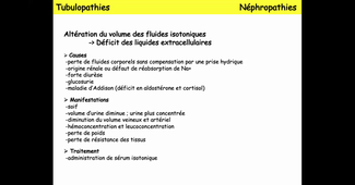 DUT Diet - Cours Physiopatho 13-11-2020
