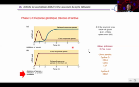 CM cycle cellulaire 2 HAV405V.mp4