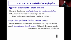 CM22/23 - Appareil neurosensoriel_Yves DAUVILLIERS_25-03-2024