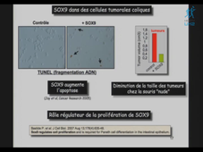 Master Biologie Santé – 21 octobre 2010 – Philippe Blache -