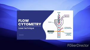 Article Cell Cycle 1