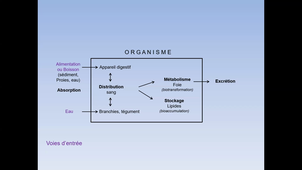 Biomarqueurs 2