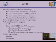 Master Biologie Santé – 19 octobre 2010 – Eric Thouvenot -