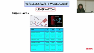 S2 UE4 Physiologie Humaine-Pr LAOUDJ CHENIVESSE-05/03/25