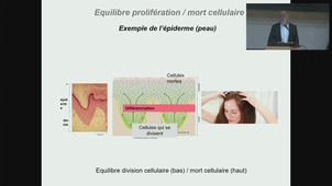 ECUE3-PUJOL-18-11-24-2/2.m4v