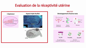 CM8 RFE - Implantation : rôle de l'embryon et rôle de l'endomètre - DR ANAV - DFGSM2