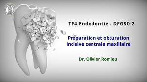 TP4 - Incisive centrale maxillaire