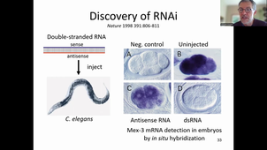 20241022-ncRNAPartII.mp4