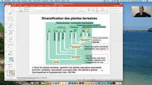 HMBA303-Guyomarch-CM1&2-Evo_devo_florale-161120-ENREGISTREMENT