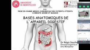D.U PEC Obésité - Dr. Régis Souche - Bases anatomiques de l'appareil digestif