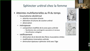 Le vieillissement génital et ses conséquences fonctionnelles chez la femme - Dr FATTON