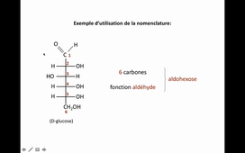 HLBI202 Cours 1 Glucides