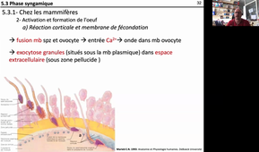 HLBE201-Chap 5-cours 13