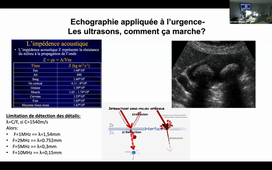 DR BENENATI BASES PHYSIQUES .mp4