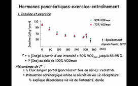 L2-TC-UE41A-Adaptations-hormonales-GPy-CM3