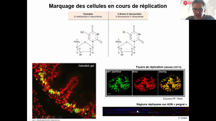01042021-suiteetfincours3-coulon