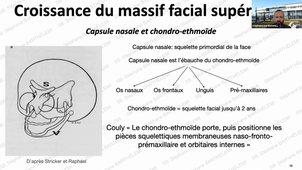 S2UE9_Barthelemi_1_16022021