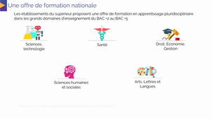 Quels diplômes et pourquoi choisir l'apprentissages ? - CFA EnSup LR Sud de France