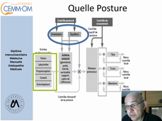 mobile cephalique et gestion d'un equilibre sagittal