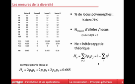 Cours Conservation HLBE601