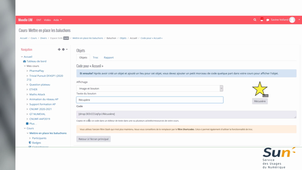 ludifier son cours avec les baluchons sur Moodle