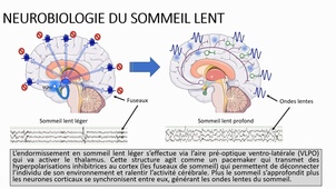 Organisation du sommeil chez l'enfant – R. LOPEZ, Psychiatre, spécialiste du sommeil