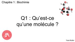 Chapitre 1 – Biochimie Q1 : Qu’est-ce qu’une molécule ?