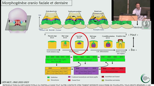 S2UE9_ECUE9_COLLART-Dutilleul_1_15022023.m4v