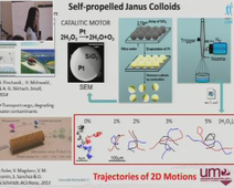 LABEX CheMiSyst Summer School - Presentation Flash - Xiaolu WANG