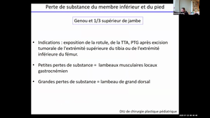 DU CPP - Pr. Pannier - Pertes de substances du membre inférieur et du pied