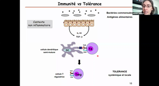 26-02-2021-DFGSM2-L-Guglielmi-TS Immuno- CM12-13-14