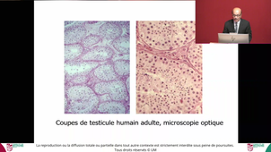 UE3_Biologie_du_développement_et_de_la_reproduction_HANAMAH_04112024