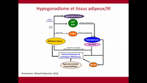 DU DIABETOLOGIE - Enregistrements vidéos n°2 - mardi 25 novembre 2025.mp4