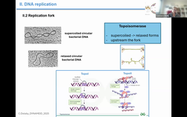 TU05 - Replication - Repair - C. DELABY - 04-12-25.mp4